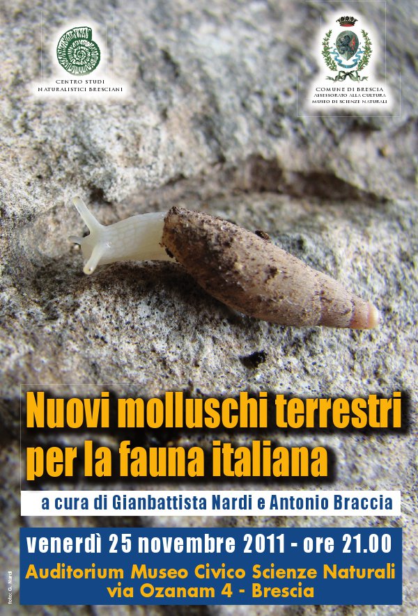 Venerdi 25 novembre a Brescia.